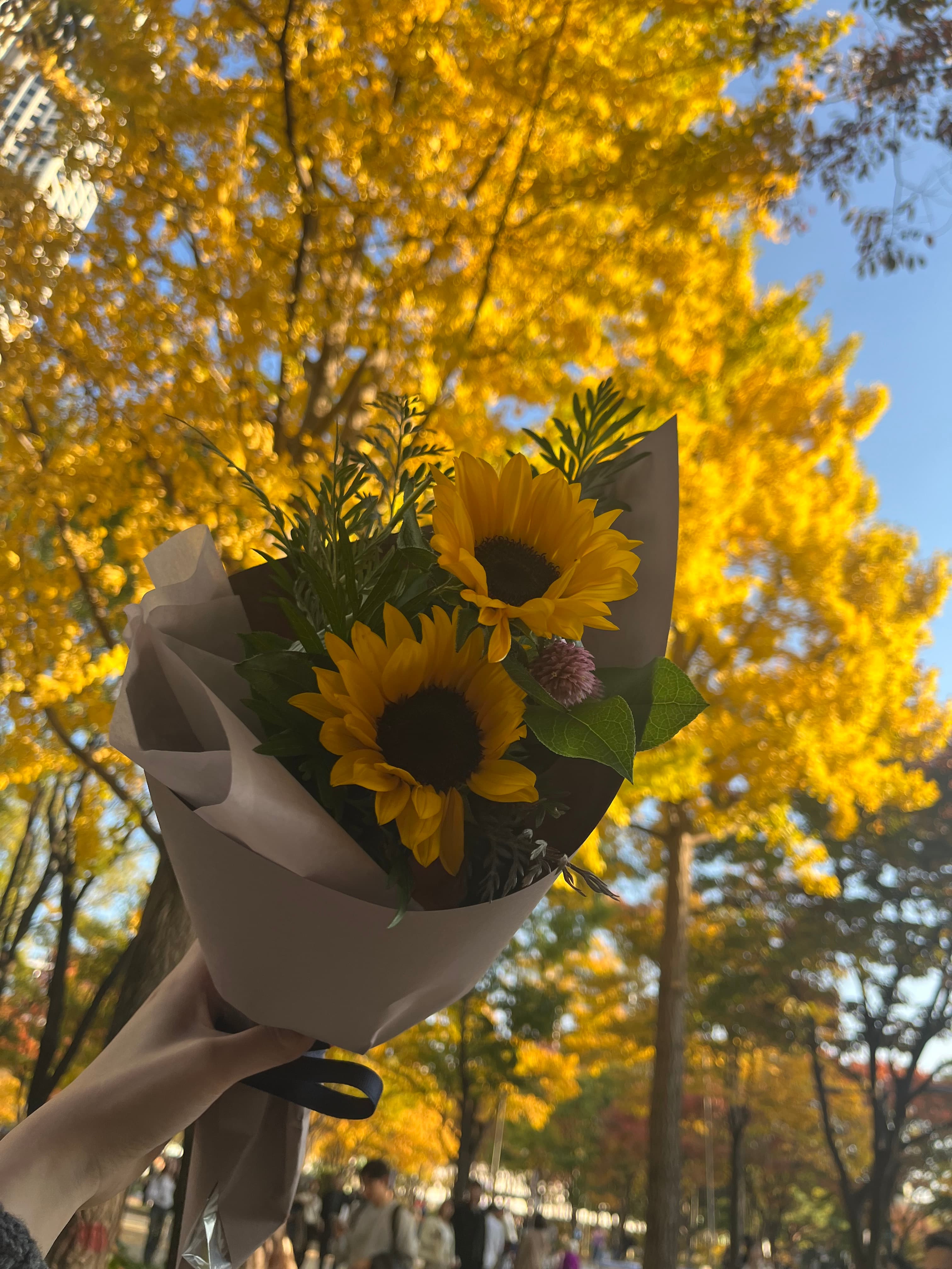 김니니 프로필