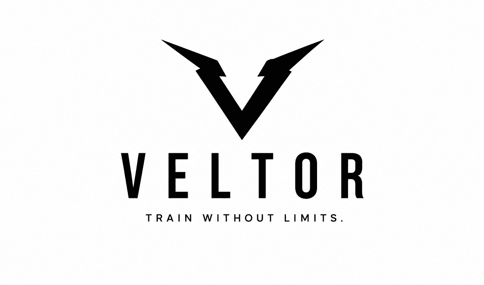 VELTOR 프로필